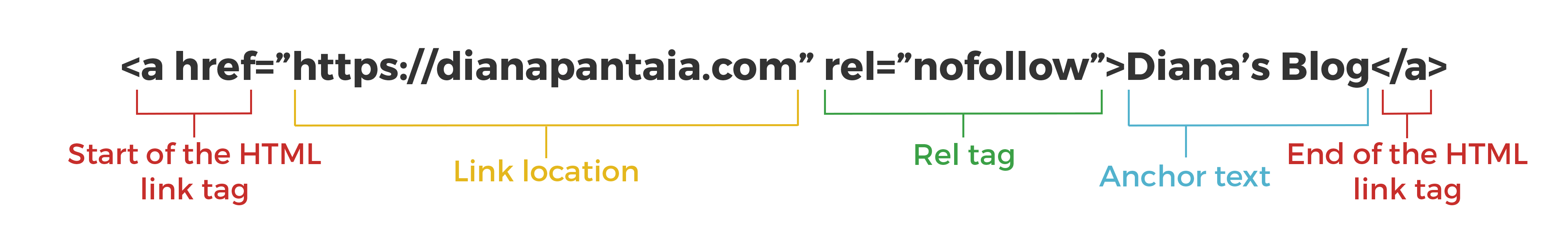 what is seo - backlink anatomy